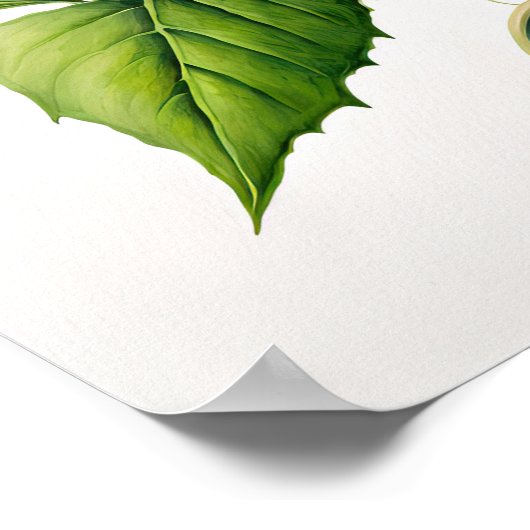 Roze Morning Glory Flowers Art Print Poster (Hoek)