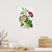 Roze Morning Glory Flowers Art Print Poster (Keuken)