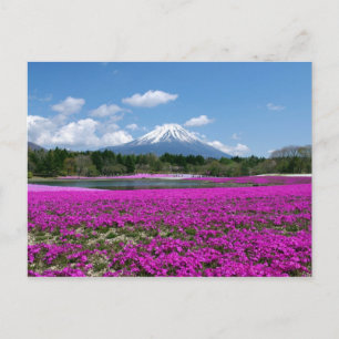 Roze moss en Mt Fuji op de achtergrond Briefkaart