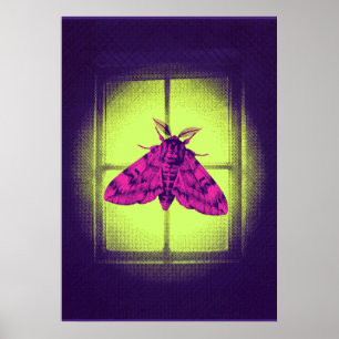 Roze Mot Aan Lichtgevend Lime Raam Pop Art Poster