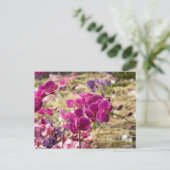 Roze Moth Orchids Briefkaart (Staand voorkant)