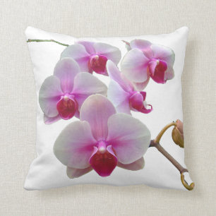 Roze moth Orchids op White - Phalaenopsis Kussen