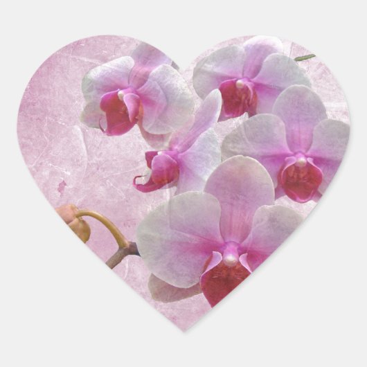 Roze moth Orchids - Phalaenopsis Hart Sticker (Voorkant)
