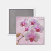 Roze moth Orchids - Phalaenopsis Magneet (Voorkant / Achterkant)