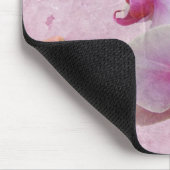 Roze moth Orchids - Phalaenopsis Muismat (Hoek)