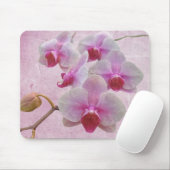 Roze moth Orchids - Phalaenopsis Muismat (Met muis)