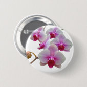 Roze moth Orchids - Phalaenopsis Ronde Button 5,7 Cm (Voorkant /achterkant)