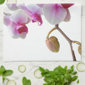 Roze moth Orchids - Phalaenopsis Theedoek (Gevouwen)