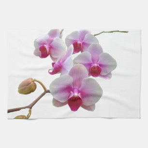 Roze moth Orchids - Phalaenopsis Theedoek