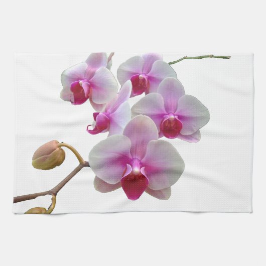 Roze moth Orchids - Phalaenopsis Theedoek (Horizontaal)