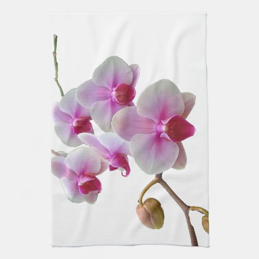 Roze moth Orchids - Phalaenopsis Theedoek (Verticaal)