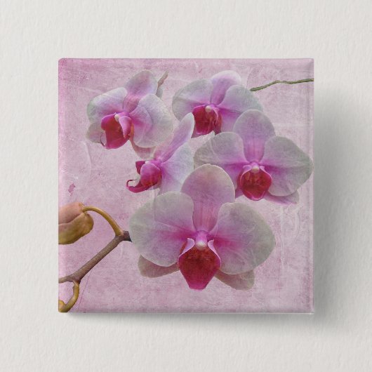 Roze moth Orchids - Phalaenopsis Vierkante Button 5,1 Cm (Voorkant)