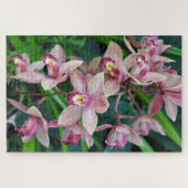 Roze mothorchideeën legpuzzel (Horizontaal)