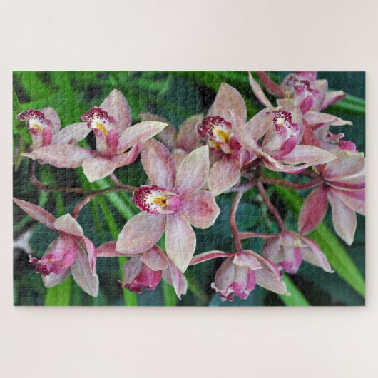 Roze mothorchideeën legpuzzel (Horizontaal)
