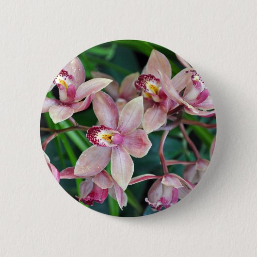 Roze mothorchideeën ronde button 5,7 cm (Voorkant)