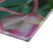 Roze mothorchideeën snijplank (Hoek)