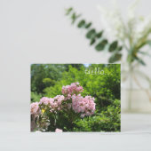 Roze Mountain Laurel Flowers Briefkaart (Staand voorkant)