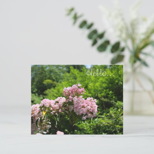 Roze Mountain Laurel Flowers Briefkaart (Staand voorkant)
