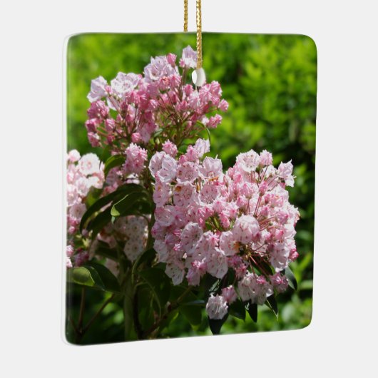 Roze Mountain Laurel Flowers Keramisch Ornament (Rechts)