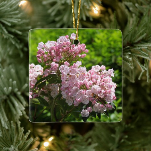 Roze Mountain Laurel Flowers Keramisch Ornament (Boom)