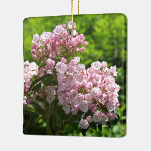 Roze Mountain Laurel Flowers Keramisch Ornament (Links)