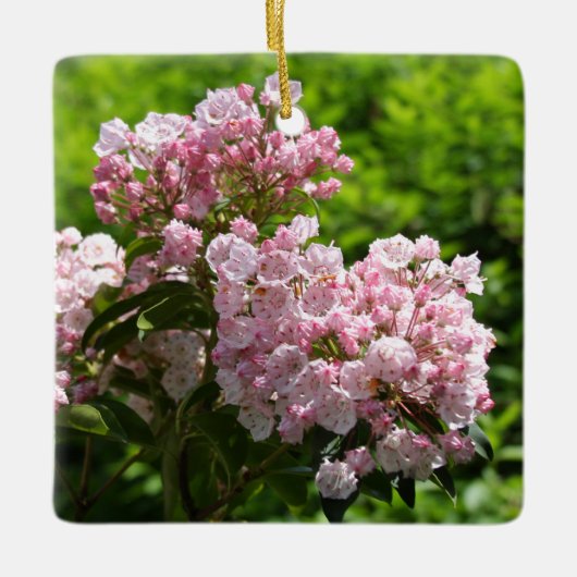 Roze Mountain Laurel Flowers Keramisch Ornament (Voorkant)