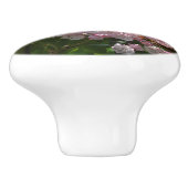 Roze Mountain Laurel Flowers Keramische Knop (Zijkant)