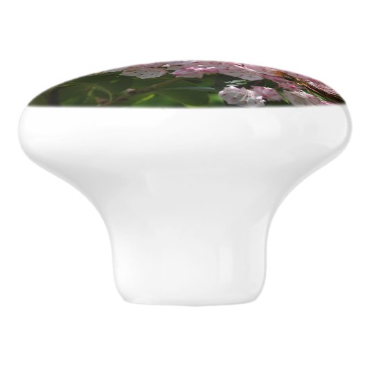 Roze Mountain Laurel Flowers Keramische Knop (Zijkant)