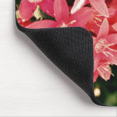 Roze Muismat (Hoek)