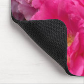 Roze Muismat (Hoek)