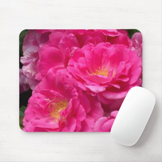Roze Muismat (Met muis)