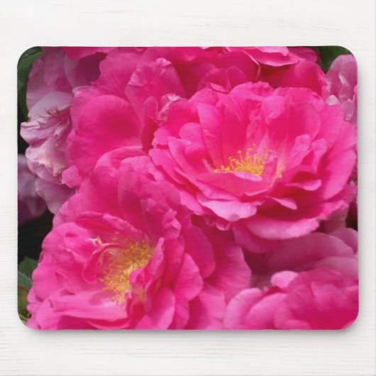 Roze Muismat (Voorkant)