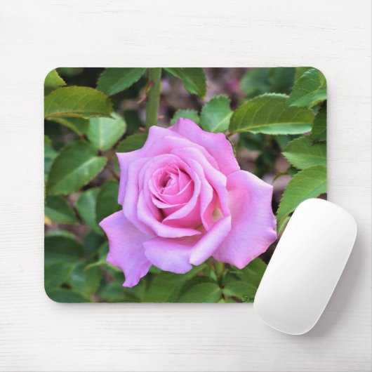 Roze Muismat (Met muis)