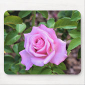 Roze Muismat (Voorkant)