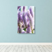 Roze Mulla Mulla Ingepakt Canvas Afdruk (Insitu (Houten vloer))