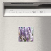 Roze Mulla Mulla-magneet Magneet (Insitu (Vaatwasser))