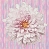 Roze Mum Bloem  Stijl Sticker (Voorkant)