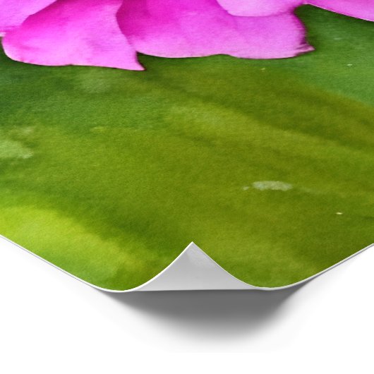 Roze Mum Flower Waterverf Style Art Squared Poster (Hoek)