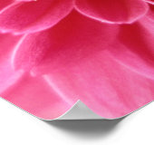 Roze mum poster (Hoek)