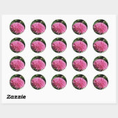 Roze mum ronde sticker (Vel)