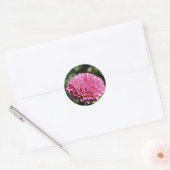 Roze mum ronde sticker (Envelop)