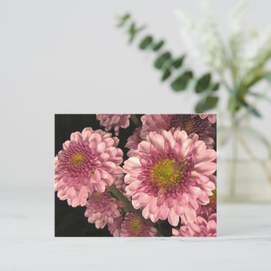 Roze Mums Briefkaart (Staand voorkant)