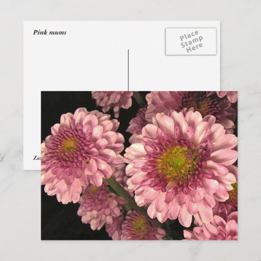 Roze Mums Briefkaart (Voorkant / Achterkant)