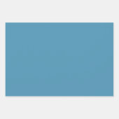 Roze Mums Inpakpapier Vel (Voorkant 2)