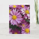 Roze Mums Kaart (Voorkant)