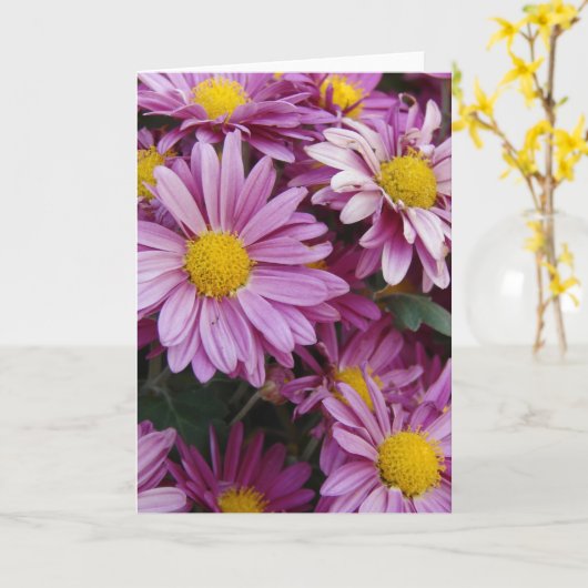 Roze Mums Kaart (Gele Bloem)