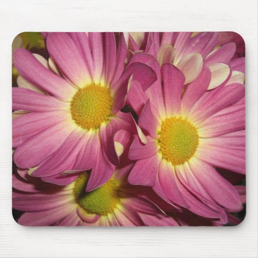 Roze Mums Mousepad Muismat (Voorkant)