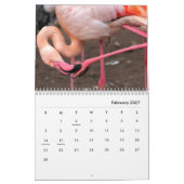 Roze muur-kalender voor Flamingos Kalender (Feb 2027)