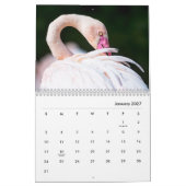 Roze muur-kalender voor Flamingos Kalender (Jan 2027)