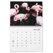 Roze muur-kalender voor Flamingos Kalender (Mar 2027)